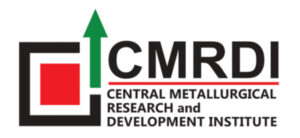 RWEsearch Virtual Summit 2025 Speaker - CMRDI