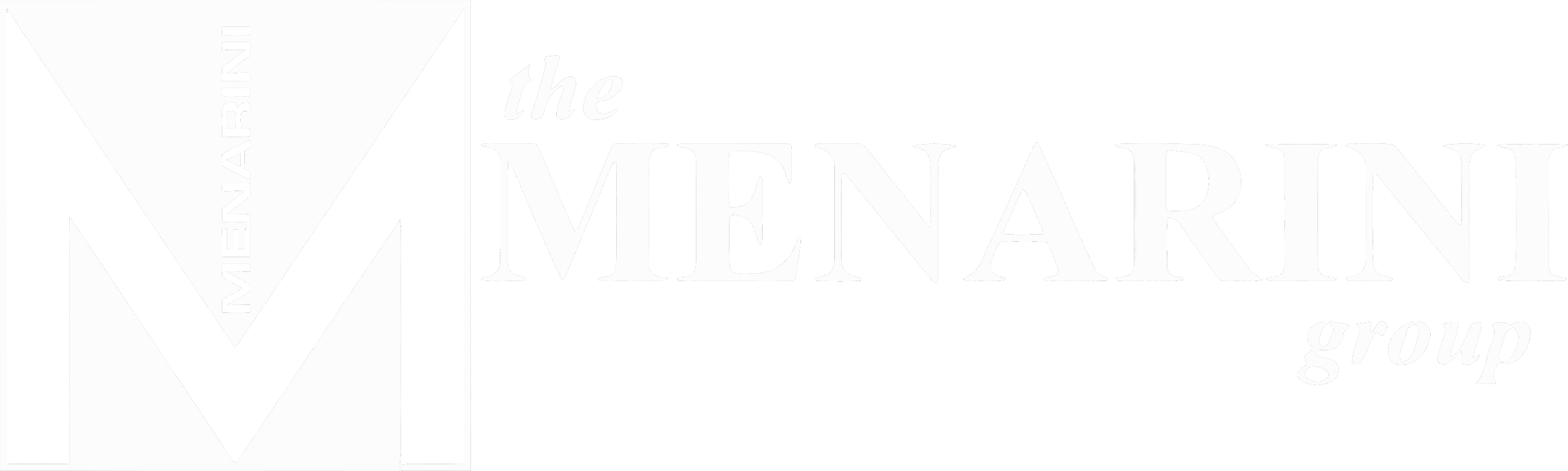 RWEsearch Speaker 2025 - Menarini Group